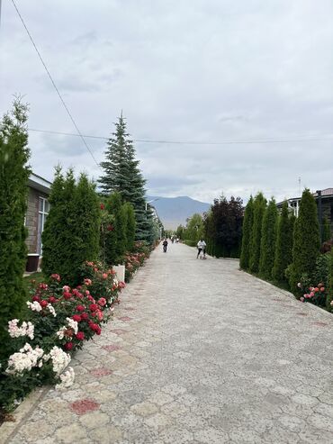 Иссык-Куль 2025: Квартира, ПАРИЖ-1 ЦО Париж, Чок-Тал, Охраняемая территория, Парковка, стоянка, Детская площадка at lalafo.kg — 10 Иссык-Куль 2025: Квартира, ПАРИЖ-1 ЦО Париж, Чок-Тал, Охраняемая территория, Парковка, стоянка, Детская площадка — 10