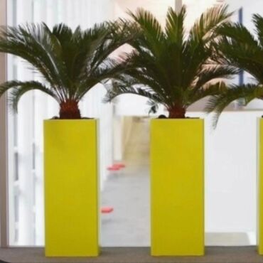 Bitkilər üçün dibçəklər: Her razmir de özel dibcek istehsal edirik. Qvadrat ve adede gore — 6