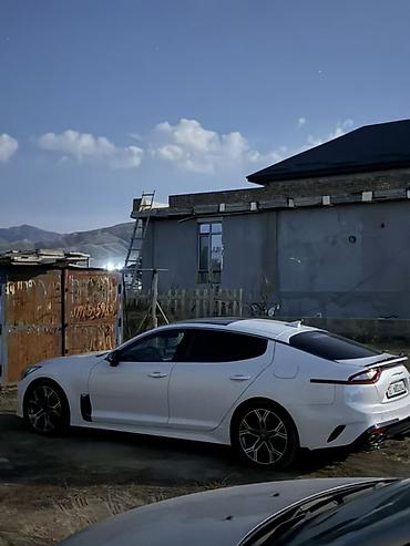 kia ceed gt: Kia Stinger: 2018 г., 3.3 л, Лифтбек — 2