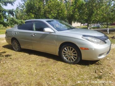 машина для охоты: Toyota Windom: 2001 г., 3 л, Автомат, Бензин, Седан