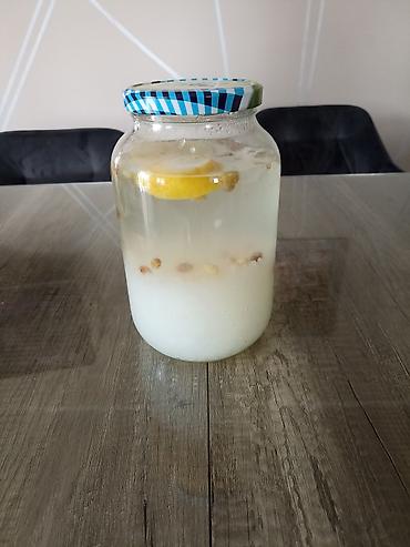 posta kula: Vodom kefir – kulturi zrnaca (Tibicos) za pripremu fermentisanog — 2