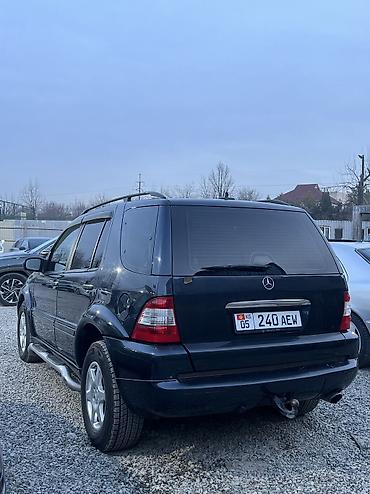 Mercedes-Benz: Mercedes-Benz ML-Class: 2002 г., 4 л, Автомат, Дизель, Кроссовер — 7