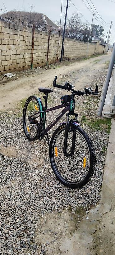 Şəhər velosipedləri: Şəhər velosipedi 29" — 1