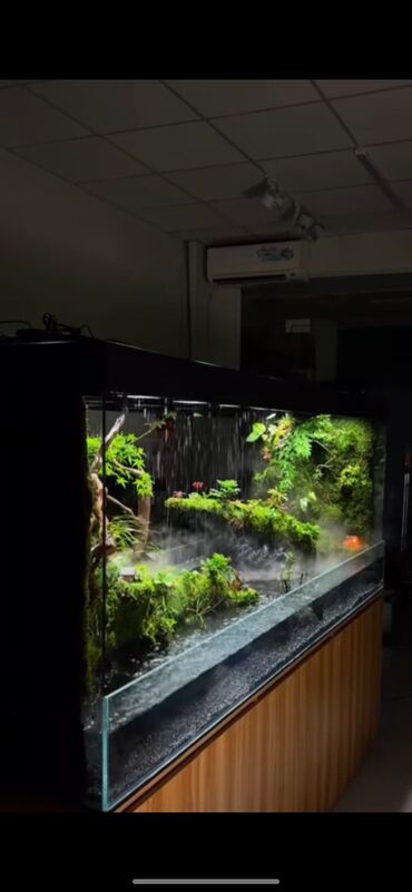 Akvarium aksessuar və ləvazimatları: Su canlıları sqxlamaq üçün uyğumdur. Sistem 24 və 12 volt enerji ilə
