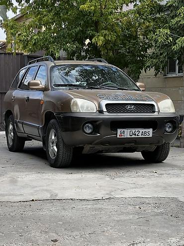 range over: Hyundai Santa Fe: 2003 г., 2.7 л, Типтроник, Бензин, Кроссовер — 1