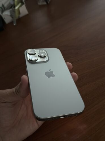 Сковородки: IPhone 16 Pro, 256 ГБ, Серебристый, Беспроводная зарядка, Face ID