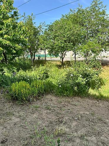Продажа коттеджей и домов: 🏡 Участок 6 соток с удобным расположением и заездами с двух разных — 16