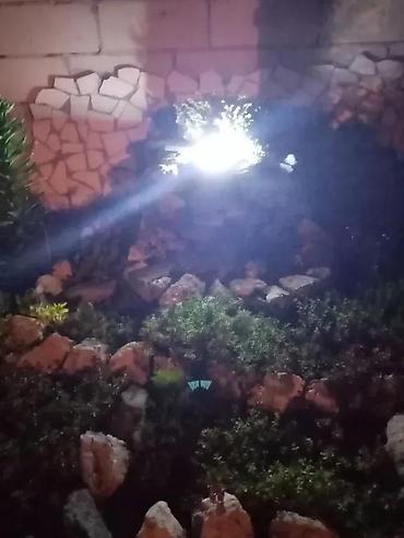 Baštenska rasveta: SOLARNI REFLEKTOR-LAMPA SA 100 LED LAMPICA NOVO AKCIJA | Cene nisu — 12
