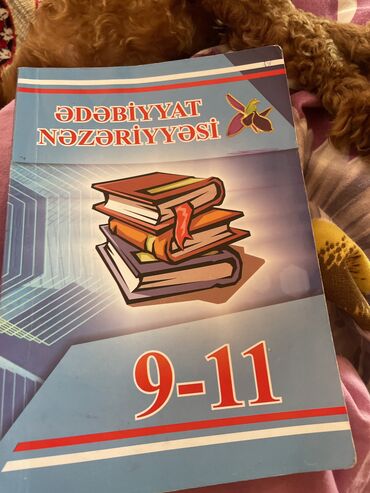 11 cu sinif ədəbiyyat dərsliyi pdf: Edebiyyat nezeriyesi 9/11 ci sinif ucun Abituriyentlere cox komek