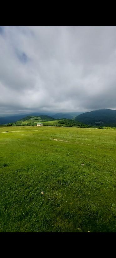 11000 sot, Tikinti, Maklerlər narahat etməsin, Kupça (Çıxarış) lalafo.az -da 11000 sot, Tikinti, Maklerlər narahat etməsin, Kupça (Çıxarış)