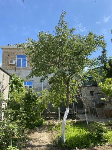 Həyət evləri və villaların satışı: 5 otaqlı, 180 kv. m, Yeni təmirli — 3