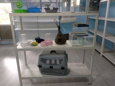 rəfləri: Qalin profilden yigilmis ustu dik olan vitrin eni 1.50 x 1.70 Qiymet
