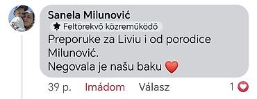 Dadilje, negovateljice: Usluge kućne nege i zdravstvene podrške - Profesionalna, precizna i — 12