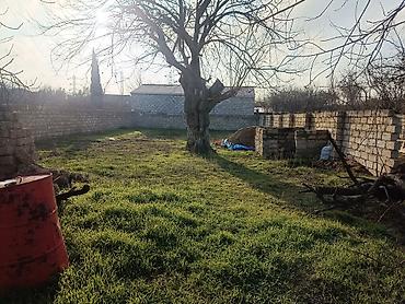 maştaga: 4 sot, Kənd təsərrüfatı, Barter mümkündür, Müqavilə — 1