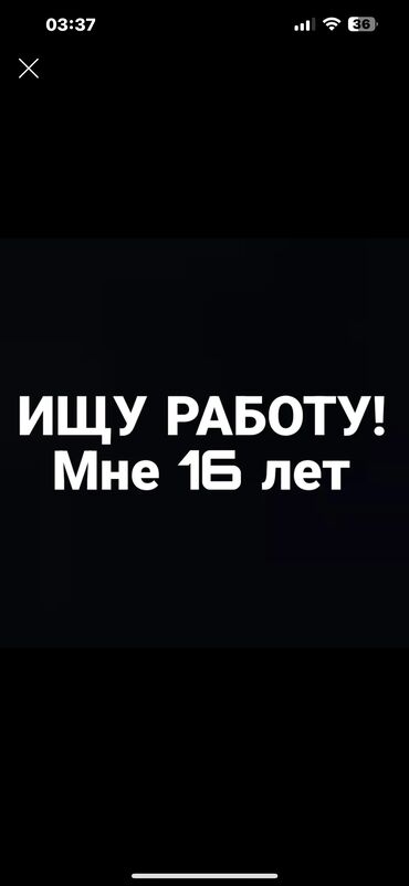 уйго жумуш издейм: Официант. Тажрыйбасыз