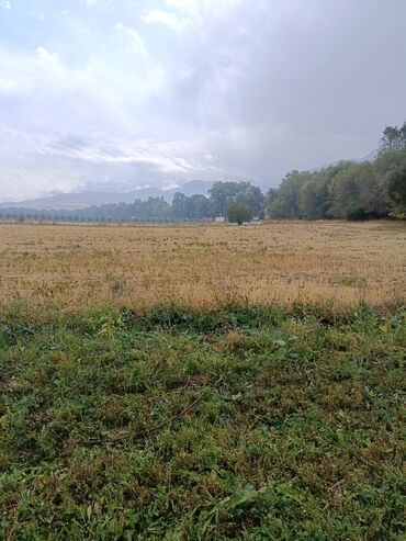 Продажа участков: 72 соток, Для сельского хозяйства, Договор купли-продажи — 15