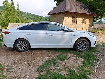 byd son: Hyundai Sonata: 2018 г., 2 л, Автомат, Газ, Седан — 2