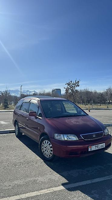 Honda: Honda Odyssey: 1997 г., Автомат, Бензин, Минивэн — 1