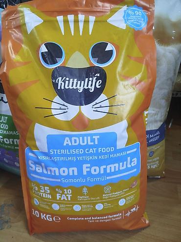 сухой корм для кошек: Kittylife Adult Sterilised Cat Food – Salmon Formula, 10 кг - Сухой — 4