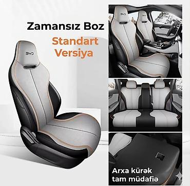 mini soyuducu: BYD avtomobilləri üçün “Zamansız Boz” standart versiya oturacaq — 1