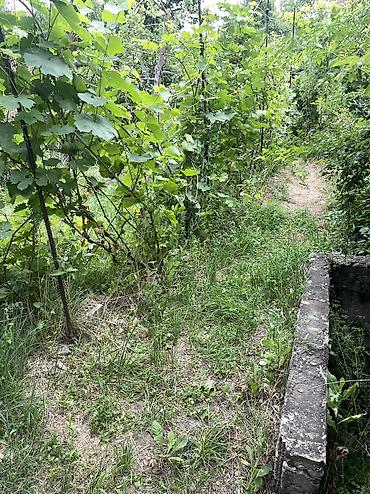 Продажа дач: ПРОДАЕТСЯ Дачный участок, с. Туз, СТ «Нур» (между с. Туз и с. Чон — 20