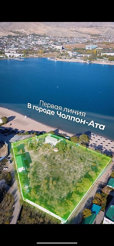 чолп: 83 соток, Бизнес үчүн, Кызыл китеп — 1