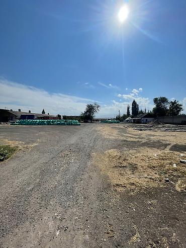 Продается участок в пригороде (30 км от Бишкека)по первой линии по at lalafo.kg Продается участок в пригороде (30 км от Бишкека)по первой линии по