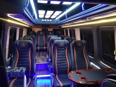 маз зубренок: Пассажирский микроавтобус Mercedes-Benz класса VIP - Комфортный салон