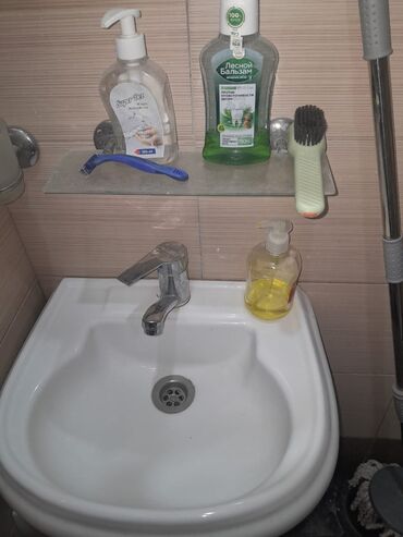 Çöl bitkiləri: Zabrat 2 stansiyasına yaxındir. sənəd kupça avtobus dayanacağına — 15