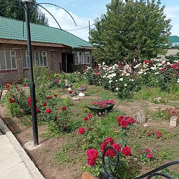 Бөлмөлөр: Для тех кто ценит спокойный отдых, вдали от городского шума и грохота — 5