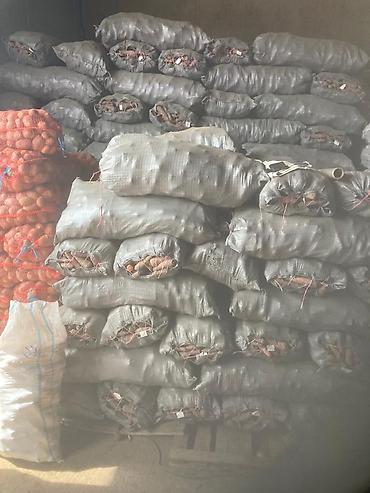 Промышленные холодильники и комплектующие: Сдаются в аренду холодильники промышленные для сельскохозяйственных — 19