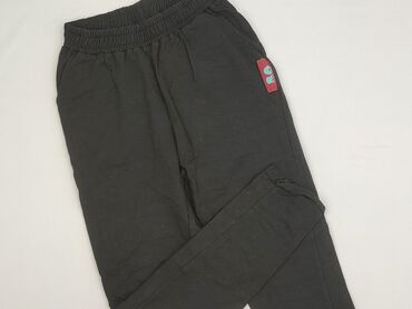 champion buty ccc: Spodnie dresowe damskie, rozmiar S