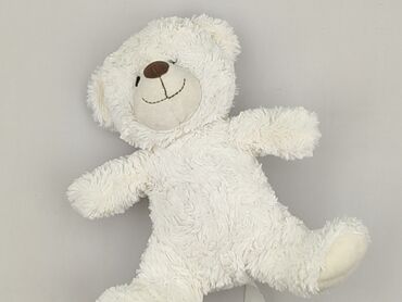 Mascot Teddy bear, condition - Very good