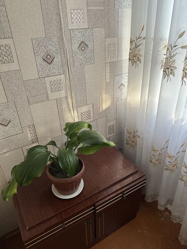 Продажа квартир: 3 комнаты, 60 м², 105 серия, 1 этаж, Косметический ремонт at lalafo.kg — 9 Продажа квартир: 3 комнаты, 60 м², 105 серия, 1 этаж, Косметический ремонт — 9