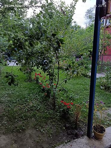 pasyolka kirovda heyet evleri: Qebelede hovuzlu kiraye ev kim istese buyra biler manqal samavar — 9