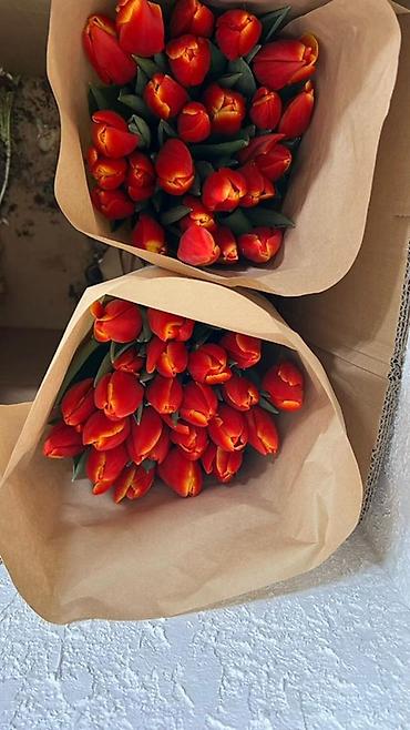 Букеты из живых цветов: Тюльпаны в букете-миксе - Срезанные тюльпаны в крафт-упаковке — 6