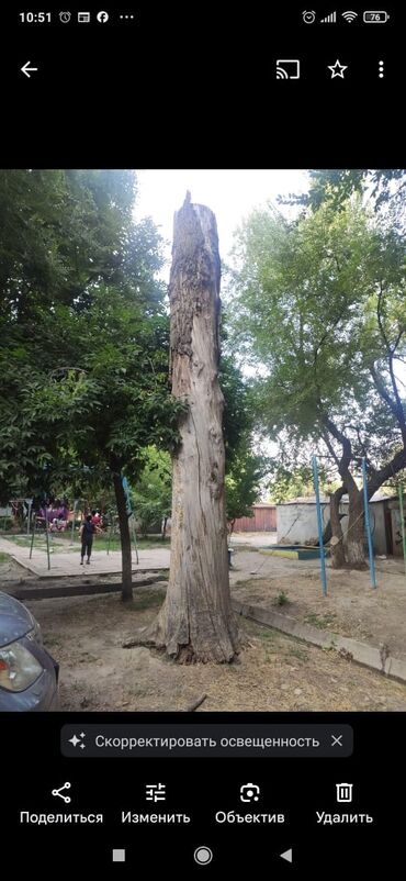 Спил деревьев, заготовка дров: Пилю деревья цена индивидуально! Пилю дровабревна 1500 - с/куб — 9