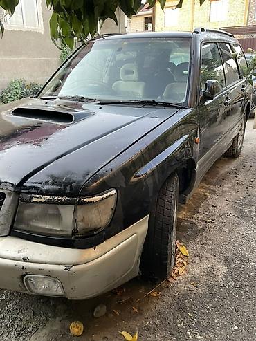 subaru forester цена бишкек: Subaru Forester: 1997 г., 2 л, Автомат, Бензин, Универсал — 8