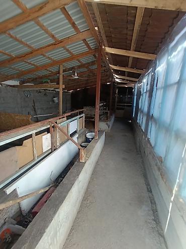 Продажа коттеджей и домов: Дом с участком срочно барачный дом сатылат душ кухня хол 2 спальный — 8