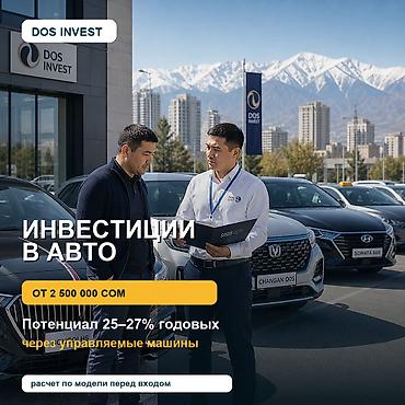 DOS INVEST — управление автоактивами под доход Что предлагаем -
