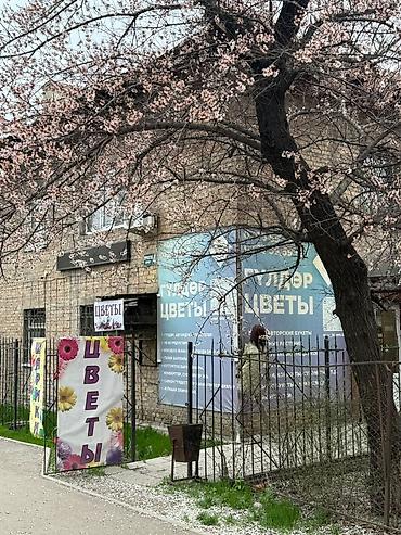 эвелины цветы: Продаётся помещение 42 кв 1 этаж ул Лермонтова 4/2 тел - Авторские — 1
