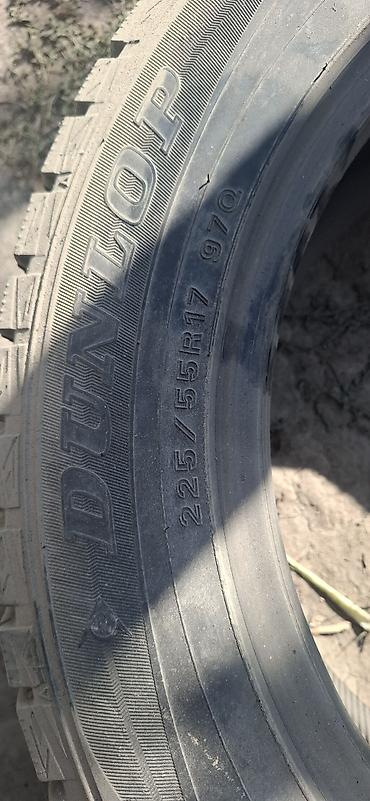 чип карты: Зимние шины Dunlop 225/55 R17 97Q, комплект из 3 шт. - Тип: зимние — 2