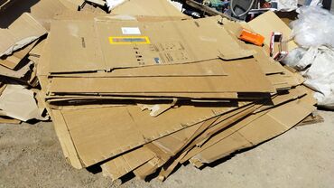 продам яблоки на переработку: Продаю макалатуры по 8сомов самовывоз срочна продаеться