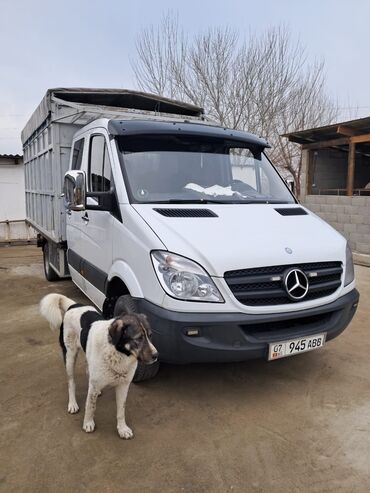 шумоизоляция бишкек авто: Легкий грузовик, Mercedes-Benz, Дубль, 3 т, Б/у