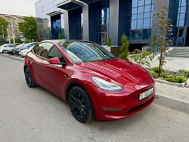 tesla p40: Tesla Model Y: 2020 г., Электромобиль, Кроссовер — 2