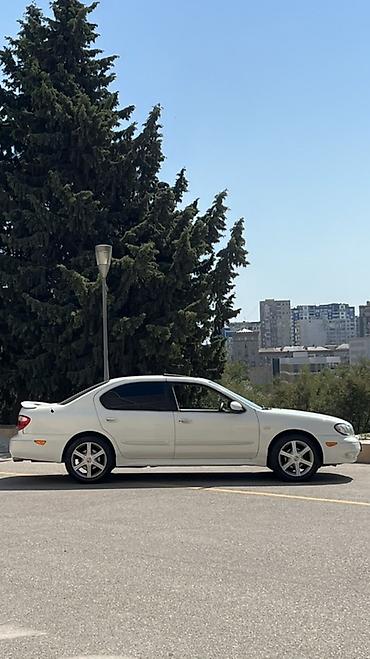 Nissan: Nissan Maxima QX sedan – ağ rəng, 4 qapı, qabaqdan ötürücülü. Əsas — 4
