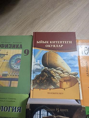 Другие учебники: Набор учебников и книг, преимущественно для 9 класса. В комплект — 17