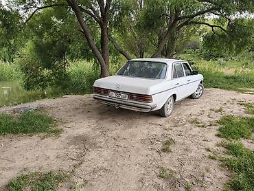argb controller: Mercedes-Benz W123: 1982 г., 2.4 л, Автомат, Дизель, Седан — 2