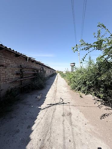 земля для посева: Сдается участок с большой территорией 2.5 Га с 4 прудами на участке — 3
