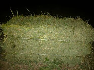 Зерновые культуры: Беде Беде Беде Клевер Клевер доставка укладка эсть. туки метровые — 4